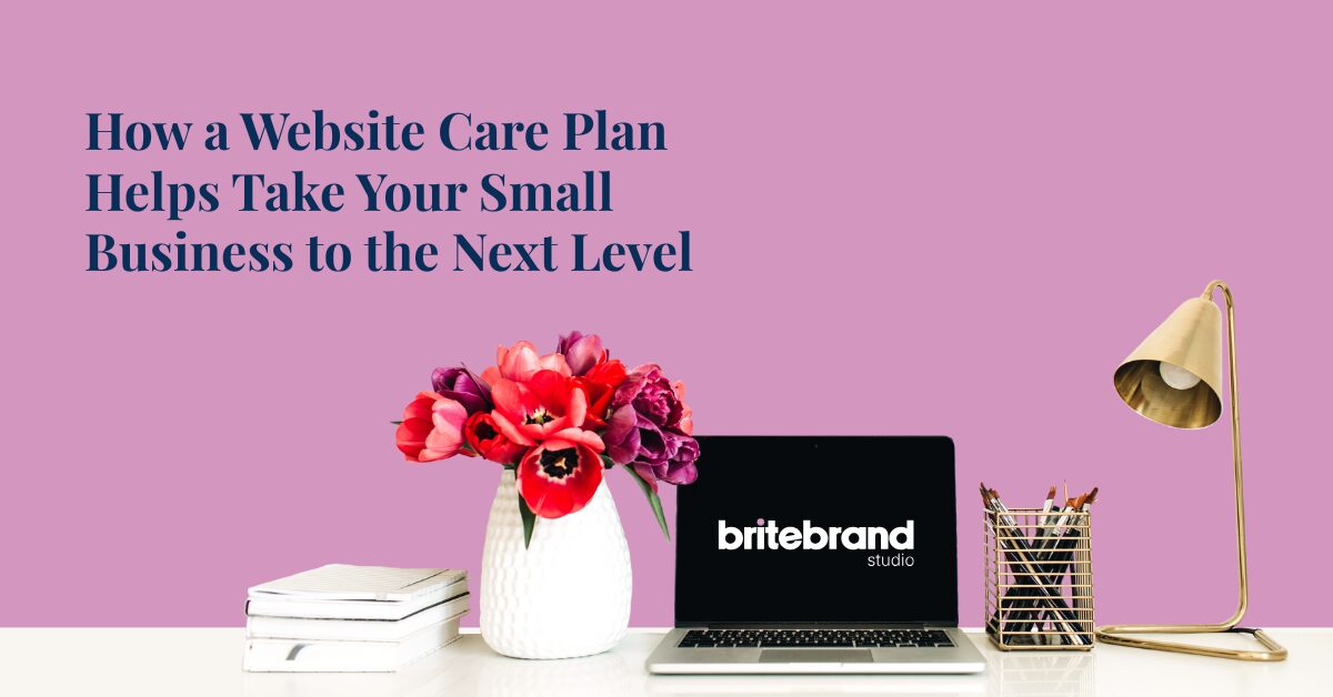 How a Website Care Plan Helps Take Your Small Business to the Next Level